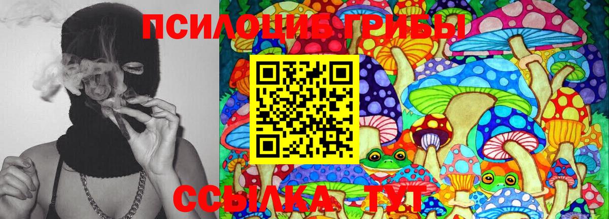 Галлюциногенные грибы Magic Shrooms Тайшет