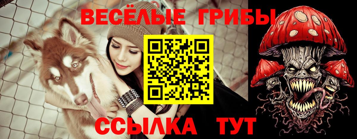 Галлюциногенные грибы мухоморы  Псилоцибиновые грибы MAGIC MUSHROOMS  Вход с VPN  Тайшет 